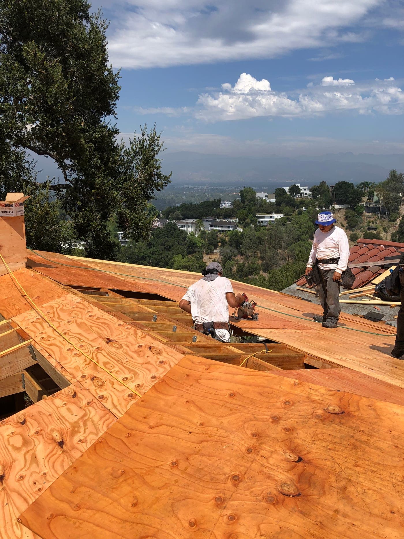 Studio City New Addition — During photo 7